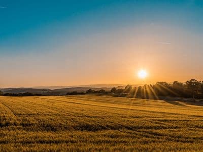 Bodrum'da Yatırım Arazisi 1
